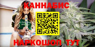 индика Аргун