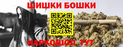 индика Аргун