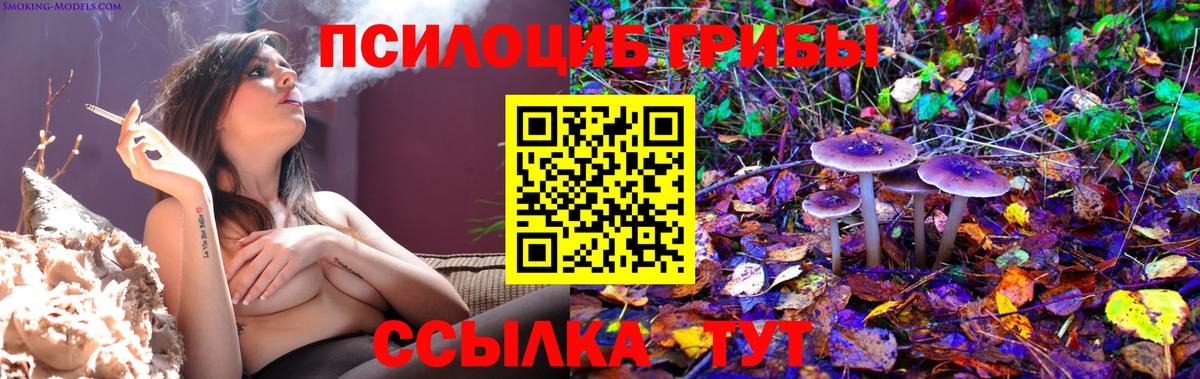 Галлюциногенные грибы GOLDEN TEACHER Белебей